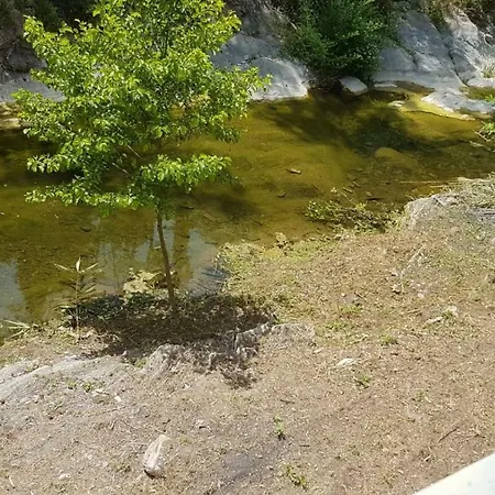 The Riverbank - Sulla Riva Del Fiume A